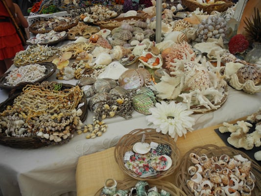 Place des Lices by null