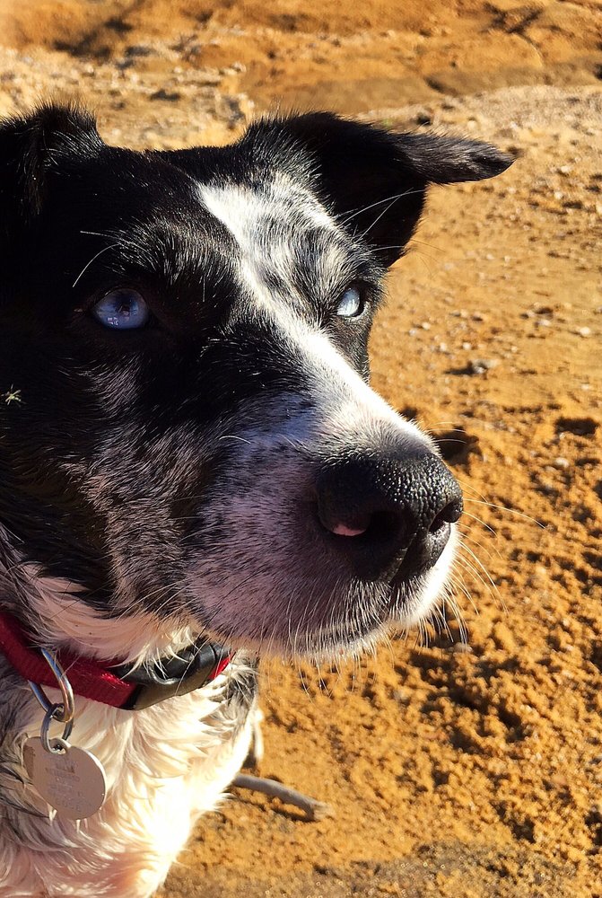 clarks merry hill book appointment