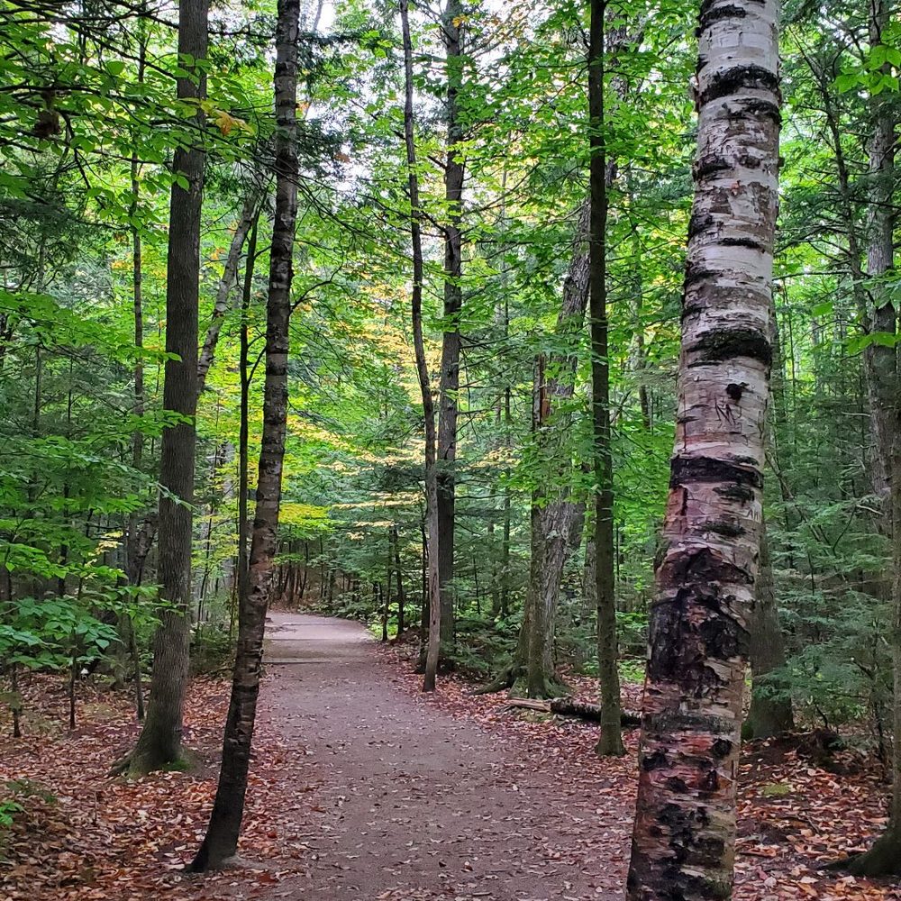 Diana's Baths - Trail leading to Diana's Bath. - Lakes Near Me - North Conway, New Hampshire