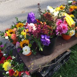 Blumen selber schneiden