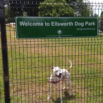 Ellsworth Park - Dog Parks Near Me - Silver Spring, Maryland