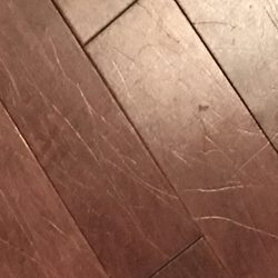 Boa-Franc - Another area - Mirage Floors not long after installation