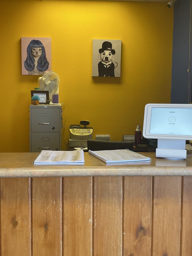 ALL ANGELS PET SALON with 16 real customer photos Updated August 2024