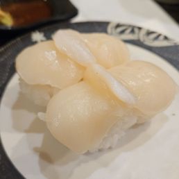 Scallop Scallop