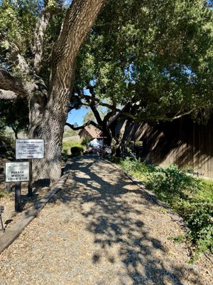 Zaca Mesa Winery by null