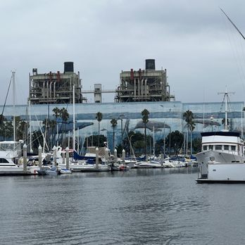 Glass Bottom Boat - mural, actual size of whales - Boating Near Me - Redondo Beach, California