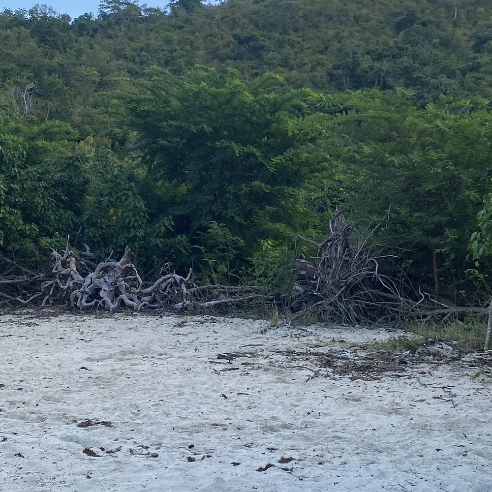 Maho Bay - Beaches Near Me - St John, Virgin Islands