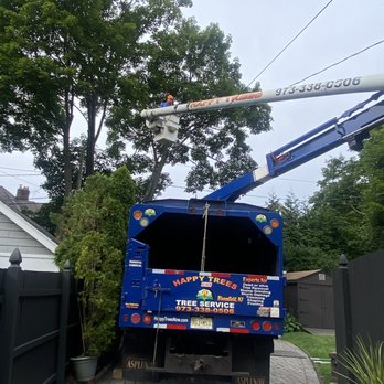 Happy Trees By MGM - Trimming - Tree Services Near Me - Bloomfield, New Jersey Happy Trees By MGM - Trimming - Tree Services Near Me - Bloomfield, New Jersey