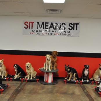 Sit Means Sit - Pet Training Near Me - Edmond, Oklahoma