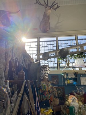 Camp Hill Antique Centre & Tart Cafe by null