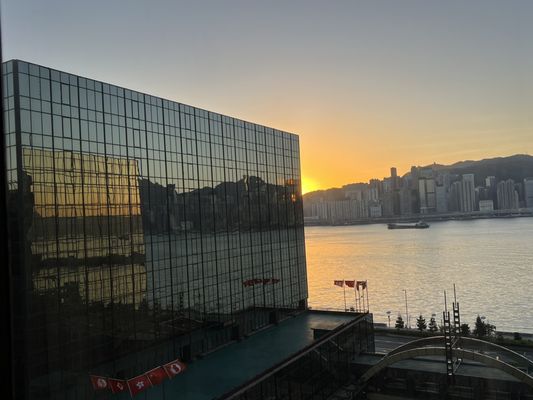 The Royal Garden by null