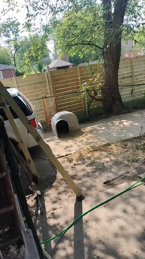 Slide of Regina Services