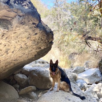 Black Star Canyon Trail - Hiking Near Me - Orange, California Black Star Canyon Trail - Hiking Near Me - Orange, California