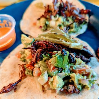 La Cruderia - Chapulines (Grasshopper) - Mexican Near Me - Houston, Texas La Cruderia - Chapulines (Grasshopper) - Mexican Near Me - Houston, Texas