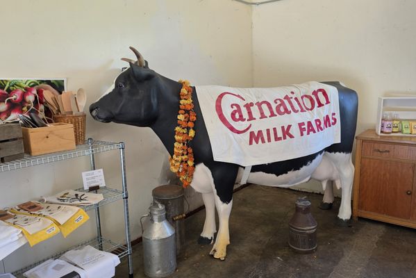 Carnation Farms by null