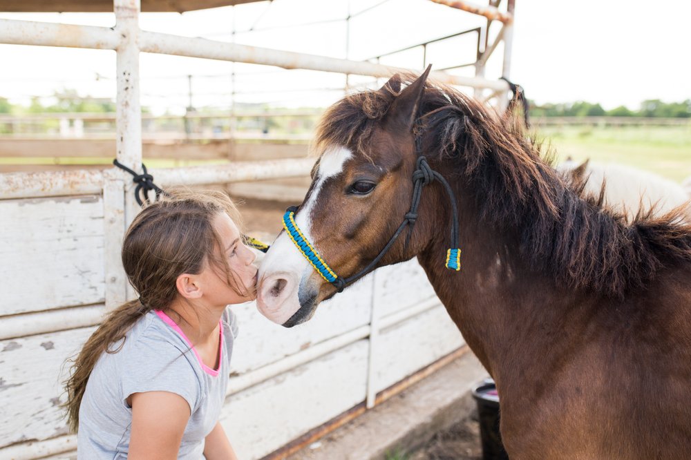 Tri-Star Farm - equestrian in Austin, TX