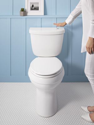 Totally Toilets Logo