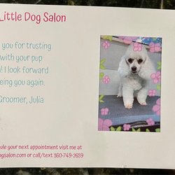 The Little Dog Salon - Her First Grooming photo with Little Dog Salon :-)
