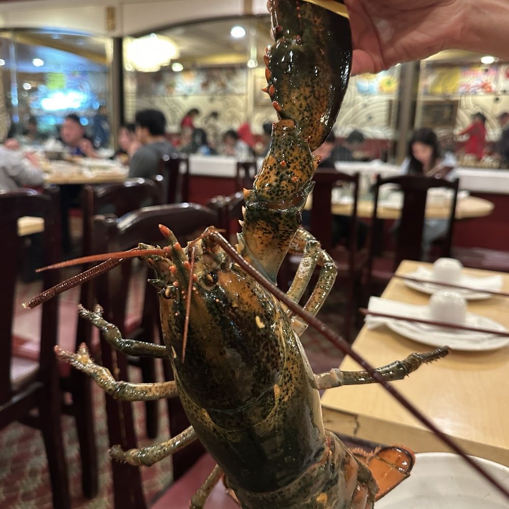 Seafood Cove - Seafood Near Me - Garden Grove, California