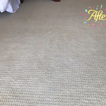 Scott's Ultra Clean - After Scott came out and cleaned up the gallon of paint - Carpet Cleaning Near Me