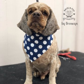 Rock N Pup Pet Salon - Pet Groomers Near Me - Smyrna, Tennessee Rock N Pup Pet Salon - Pet Groomers Near Me - Smyrna, Tennessee