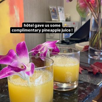 Vive Hotel Waikiki - Complimentary pineapple juice upon arriving at the hotel - Hotels Near Me - Honolulu, Hawaii Vive Hotel Waikiki - Complimentary pineapple juice upon arriving at the hotel - Hotels Near Me - Honolulu, Hawaii