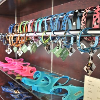 Rejoice Pet Salon - Pet Groomers Near Me - Vancouver, British Columbia Rejoice Pet Salon - Pet Groomers Near Me - Vancouver, British Columbia