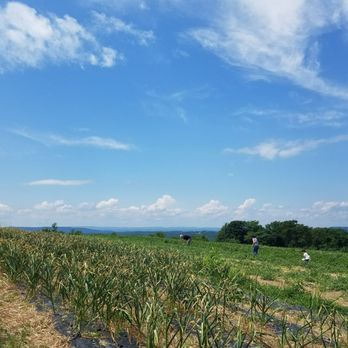 Ochs Orchard - Nothing beats the view - Fruits & Veggies Near Me - Warwick, New York Ochs Orchard - Nothing beats the view - Fruits & Veggies Near Me - Warwick, New York