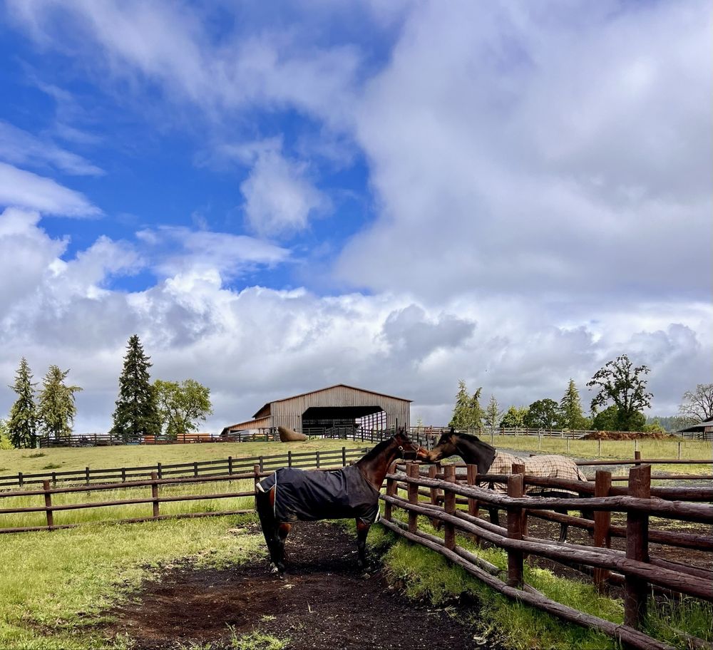 Triple Rise Equestrian Center - equestrian in Eugene, OR