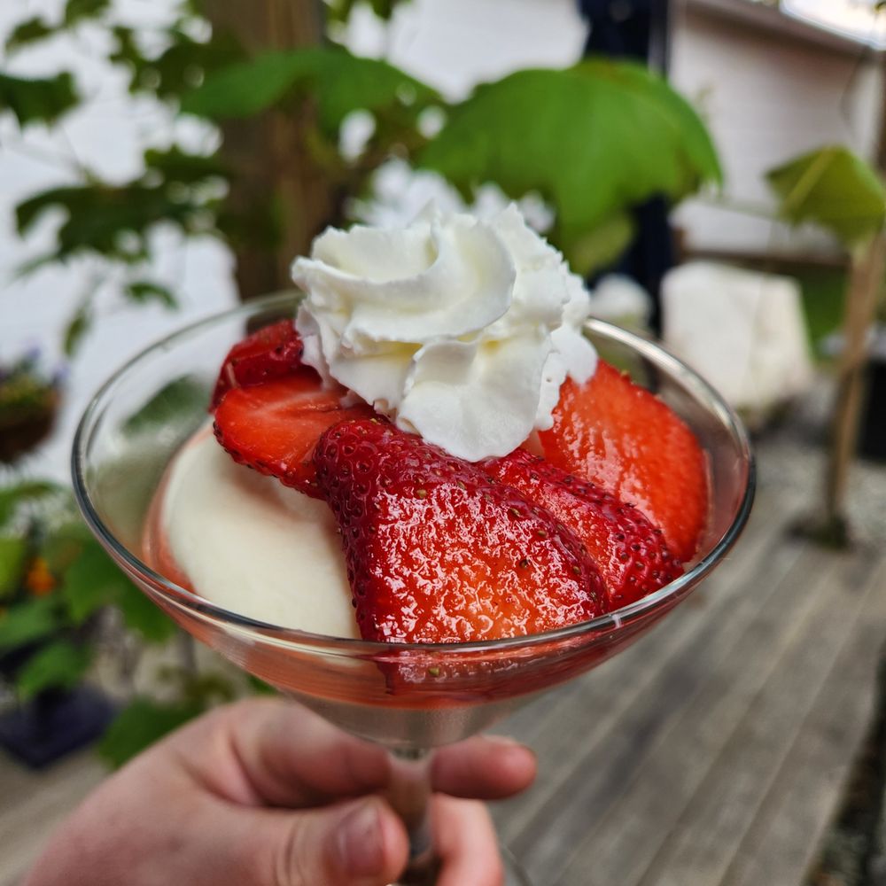 Verona Wine and Bistro Logo