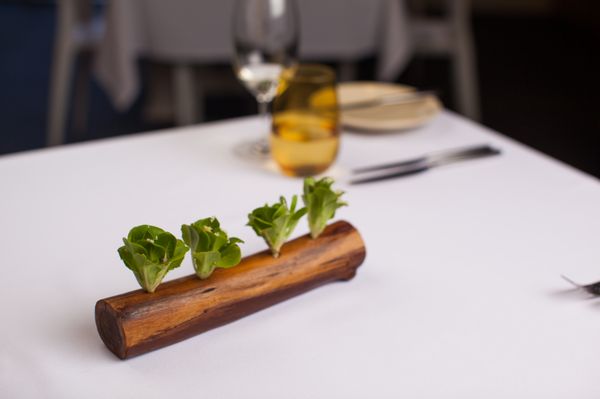 Restaurant Botanic by null