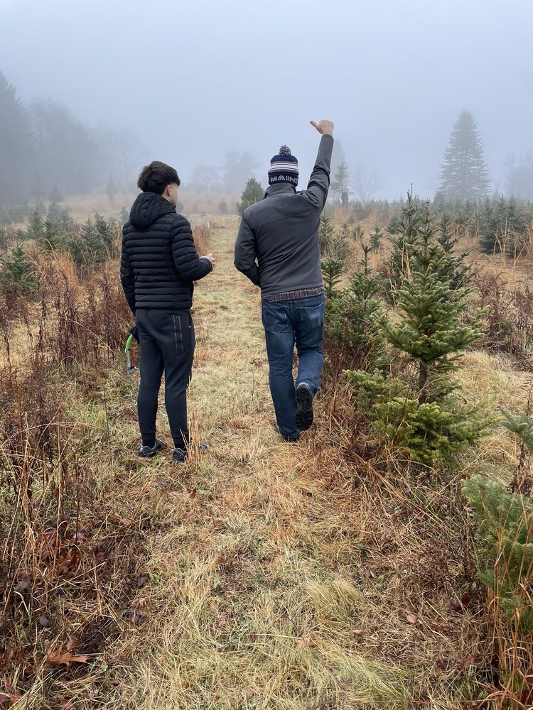 RUFF’S CHRISTMAS TREES Updated September 2024 62 Photos 263 Ranch Rd, Schuylkill Haven