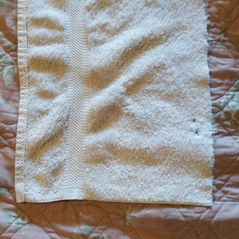Relax Inn - Seriously the roachiest Roach Motel EVER. I was quoted 63$ and charged 70$ Here's a hand towel from there! - Hotels Near Me - Madras, Oregon Relax Inn - Seriously the roachiest Roach Motel EVER. I was quoted 63$ and charged 70$ Here's a hand towel from there! - Hotels Near Me - Madras, Oregon