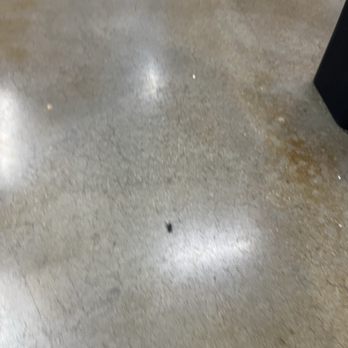 Anytime Fitness - cockroach - Gyms Near Me - El Paso, Texas Anytime Fitness - cockroach - Gyms Near Me - El Paso, Texas