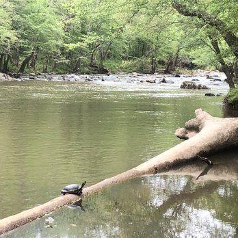 Eno River State Park - Pea creek trail and turtles - Parks Near Me - Durham, North Carolina