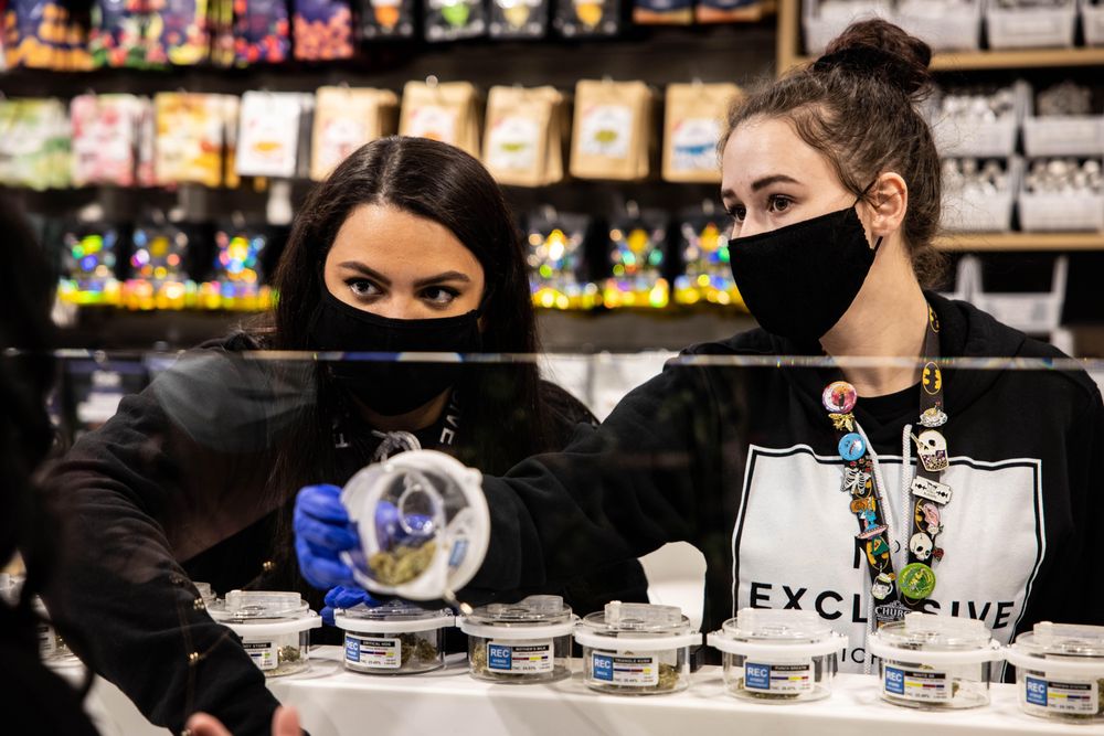 EXCLUSIVE ANN ARBOR MARIJUANA & CANNABIS DISPENSARY Updated June 2024