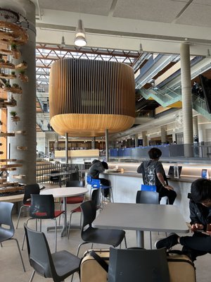 The University of British Columbia by null