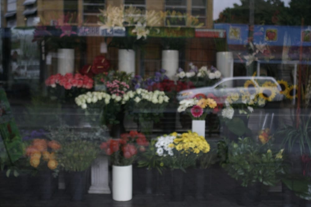 BEST FLORIST Updated August 2024 13 Photos 72 Vulture St, West