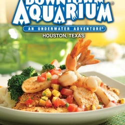 Downtown Aquarium