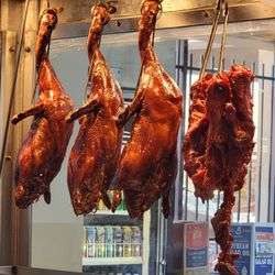 Roast duck