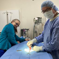 Aloha Animal Medical Center