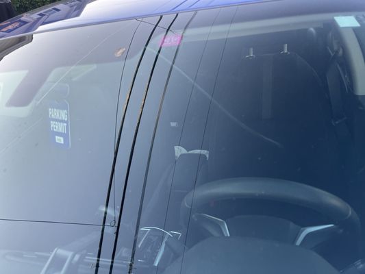 Checkered Flag Honda