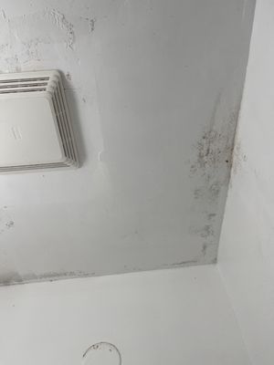 The Clarence Park by null