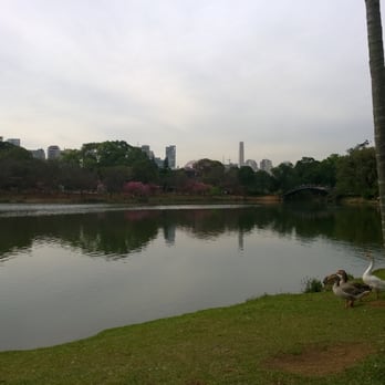 Parque do Ibirapuera - Parque Ibirapuera - View from the huge lake! - Landmarks & Historical Buildings Near Me - São Paulo, SP Parque do Ibirapuera - Parque Ibirapuera - View from the huge lake! - Landmarks & Historical Buildings Near Me - São Paulo, SP