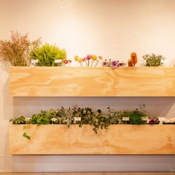 Human Interaction - Floral by the stem