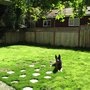 Photo of Kitsap Canine Services