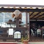 Photo of El Pareo