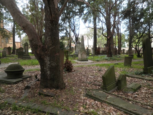 Camperdown Cemetery by null