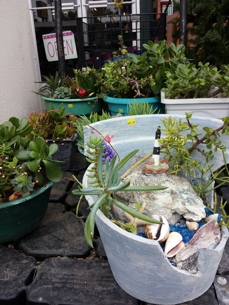 HAPPY TAILS THRIFT STORE CLOSED Updated September 2024 15 Photos