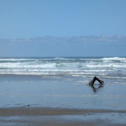 Proposal Rock Beach